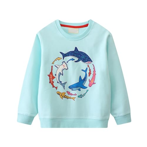Boys' Long Sleeve Hooded Sweatshirt Boys' Pullover Autumn Children's Crewneck Sweatshirt Glow In (Light Blue, 4-5 Years)