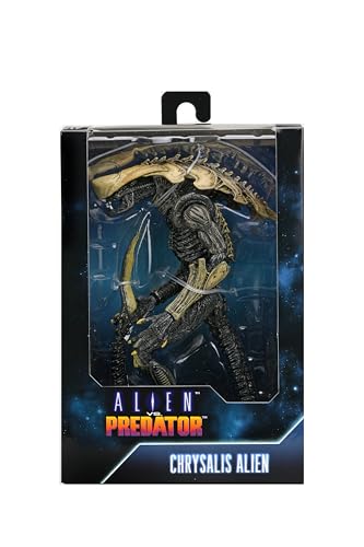Reviews y listado de Alien vs predator los preferidos por los clientes. 2 Imagen adicional