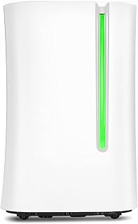 CLING 1614 m² Ft Déshumidificateur Réservoir d'eau 4 L Drain continu Silencieux Poignée Portable Facile à déplacer Minuterie 24H Idéal pour la Maison sous-Sol Chambre Salle de Bain