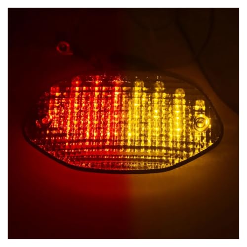 Luz Trasera LED Transparente con Señal de Giro para BMW F650CS R1100S 5