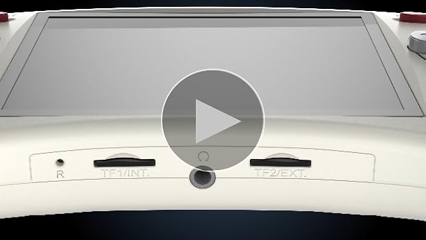 Amazon.co.jp: Anbernic RG ARC-D RK3566 Whatskoハンドヘルドゲーム機