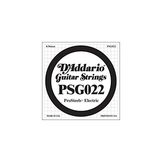 D'Addario PSG022 ProSteels Electric Guitar Single String, .022