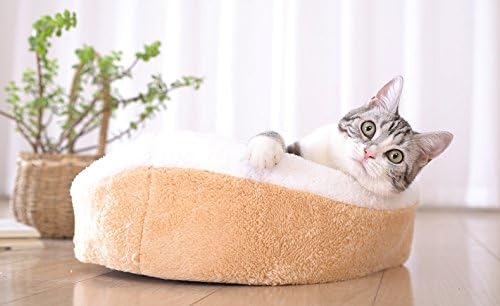 ShellKingdom Cat Bed,Creative Pet Bed for Kitty Cat and Small Dog（Beige，Hamburget）