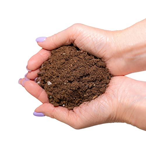 Gardenera Premium Monstera Potting Soil - Quick Drain Potting Soil for Growing and Repotting Monstera Deliciosa/Swiss Cheese Plant - 5 Quart Bag