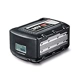 BOSCH 1607A3502U - Batería 36 V 9,0 Ah Professional 36 V. 9 Ah. Tecnología Cool Pack. Para cualquier clima IP54. Tiempo de carga 63 minutos. Carcasa protectora resistente a caídas. Display LCD. 2,3 Kg.