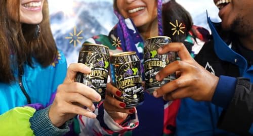 KOPPARBERG WINTER PUNCH 10 x 330ml CAN