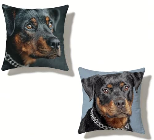 �N�b�V�����J�o�[ 55x55 cm 2���Z�b�g �� �������J�o�[ 55 x 55 �h�� ���� ���O �N�b�V���� ���b�g���C���[ �l�C ���O Cushion Cover �l�p HD���ʈ�� ���_�� �B���t�@�X�i�[�t���C ������ �p���� �_�� �� �l�G�ʗp �t