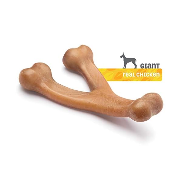 Benebone Wishbone Durable Dog Chew Toy for Aggressive Chewers, Real Chicken, Made in USA, Giant Benebone Wishbone Durable Dog Chew Toy for Aggressive Chewers, Real Chicken, Made in USA, Giant