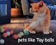 SUYUKU Katzen Genesungsanzug Anti Leck Kätzchen Body für Alternative elisabethanische Kragen Katzen Einteiler Operationsbody Warm Pyjama Kleidung Weicher Bequemer Pullover (Grau, L)