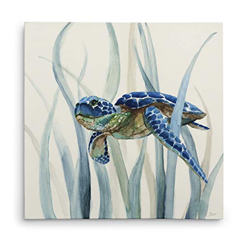 Wexford Home Turtle in Seagrass II Gallery Wrapped Canvas Wall Art, 16x16,