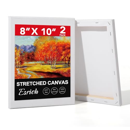 ESRICH Stretched Canvas for Painting 2 Pack 8x10 Canvas Value Pack Primed Acid-Free Cotton Blank Canvas Paint Canvases for Oil & Acrylic Paint.