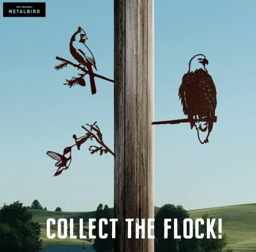 Metalbird - Cardinal - Outdoor Tree Ornaments In Corten Steel - Metal Art Proudly Made In America #TOP3