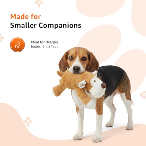 Image of Amazon Basics Cartoon Monkey Plush Dog Toy | Soft Squeaky Cuddle & Play Toy | Machine Washable | for Small to Medium Dogs | 0-20 kg | Gentle on Teeth