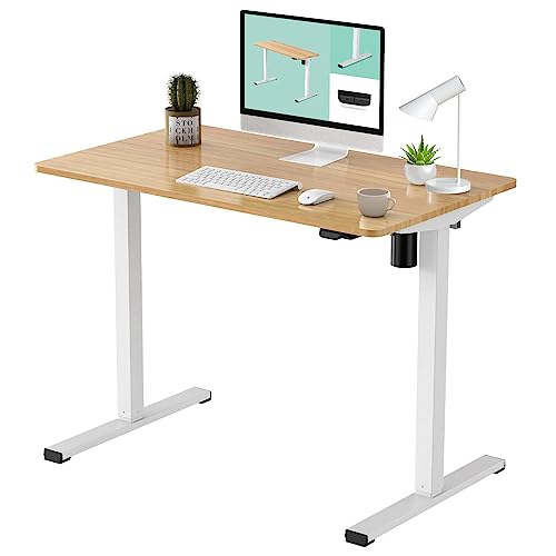 FLEXISPOT Electric Height Adjustable Standing Desk #TOP14