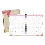 AT-A-GLANCE Monthly Planner 2016, Watercolors, 6-7/8 x 8-3/4 Inches (791-800G)