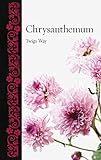  CHRYSANTHEMUM (Botanical)