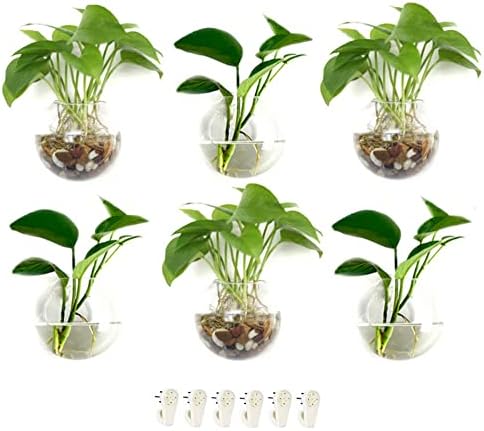GEOLUX 6 Pack Terrarium Wall Hanging Glass Wall Planters for Air Plants, Succulents, Herbs, Flowers Propogation Planters Wall Hanging Planter Globes for Home Garden Office Décor Easily Mount to Wall
