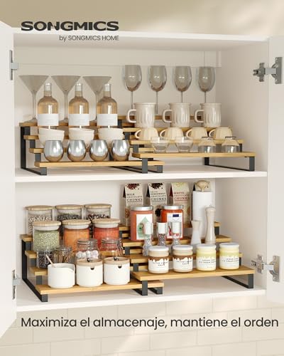 Recopilación de Soportes para botes de especias . 20 Soportes para botes de especias marca SONGMICS (2)