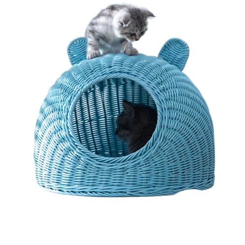 SENKAR Lh[^LLP[WLp^􂦂铡lGʗpʋC (Fiȁ{ȃ}bgj,TuAJEg)