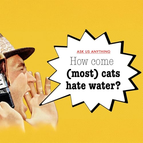 Why do (most) cats hate water?
