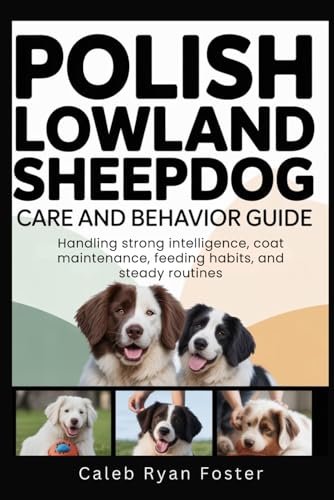Polish Lowland Sheepdog Care and Behavior Guide: Handling strong intelligence, coat maintenance, feeding habits, and steady routines