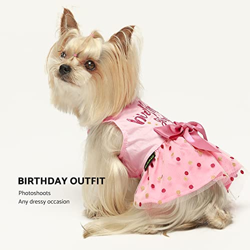 Fitwarm Birthday Girl Dog Tulle Dress, Dog Clothes For Small Dogs Girl, Cat Apparel, Pink, Large #TOP3