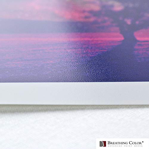 Vibrance Luster Photo Printer Paper 10 Mil 255 Gsm Luster Finish Premium Photo Paper Roll On 3In Core 36 Inches X 100 Feet Works With Most Inkjet Printers Including Professional Makes And Models #TOP3