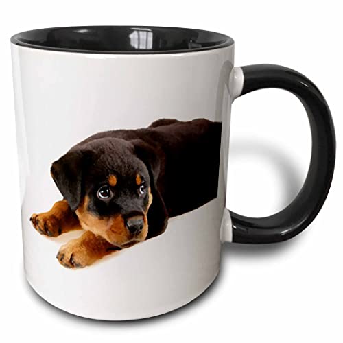 3dRose Rottweiler puppy 11oz Two-Tone Black Mug