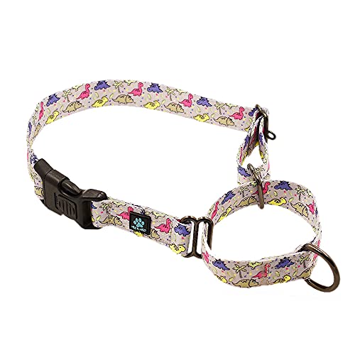 Max and Neo Patterned Martingale Dog Collar - We Donate a Collar to a Dog Rescue for Every Collar Sold (Small, Dinosaurs)