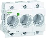  Schneider R9J02363 Neozed Sicherungssockel D02, 3-Polig, 63A, 400V, DIN-Schiene
