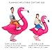 ZISUEX Flamingo Costume Rose Blow Up Suit Flamingo Inflatable Costume For Adult Women Party Halloween Costume Jumpsuit