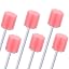 Pink Plum Bossom