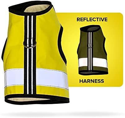 Kitty Holster - Reflective Cat Harness, High-Visibility Harness for Cats for Daytime and Nighttime, Secure Cat Vest for Walking and Travelling, Breathable and Washable Cotton, M to L, Sunshine Yellow