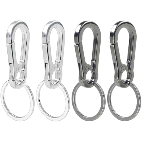 Qoaimu 4 Pcs Key Chain Holder Clip, Keychain Clip Key Ring, Keyring Keychains Chain Holder Organizer, Metal Carabiner Keychain, Zinc Keychain with Key Carabiner for Car and Keys Finder, Black Cover