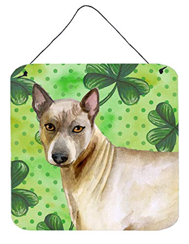 Caroline's Treasures BB9854DS66 Thai Ridgeback St Patrick's Wall or Door Hanging Prints, Green Aluminum Metal Sign Kitchen Wall Bar Bathroom Plaque Home Decor, 6x6, Multicolor