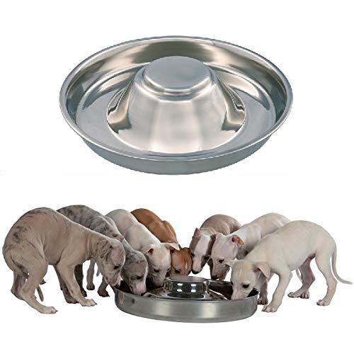 King International Stainless Steel Dog Bowl 1 Puppy Litter Food Feeding Weaning Silver