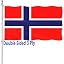Norwegian Flag