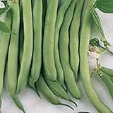 Unbrandred White Half Runner Pole Beans Seeds (25+ Seeds)(More Heirloom, Organic, Non GMO,...