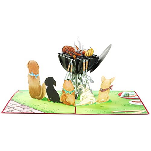 Liif King Of Grill Fathers Day Card, 3D Funny Fathers Day Pop Up Card, Funny Birthday Card For Dad, Men, Husband, Chef, Him, Grandfather, Dog Dad | With Message Note & Envelop (King Of Grill) #TOP2