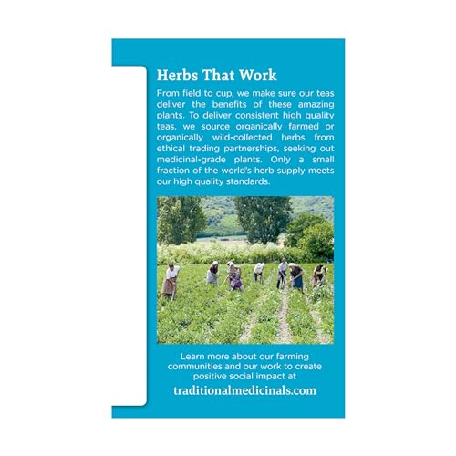 Thumbnail image for Traditional Medicinals Organic EveryDay Detox Tea