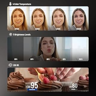 NEEWER BASICS Éclairage Magnétique Selfie Compatible avec MagSafe iPhone, CRI95 Éclairage LED Rond Pliable pour Téléphone avec Support/Miroir pour Photo Maquillage Zoom Vidéo Conférence, Blanc NL48B