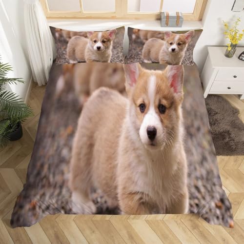 Housse de couette 200x200 Corgi avec parure de lit 3 pièces