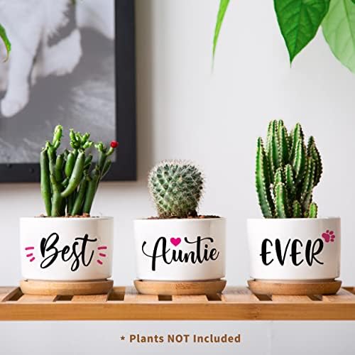 Auntie Gifts, Auntie Birthday Gifts from Niece or Nephew, Best Auntie Ever Succulent Planters, Mothers Day Birthday Gifts for Auntie, Special Presents for Auntie on Mother's Day Birthday Christmas
