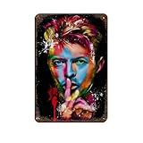 Matériau : étain/métal, avec plaque en étain de style nostalgique. Dimensions : 20 x 30 cm et 30 x 40 cm