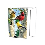 Tree-Free Greetings EcoNotes 12 Count Favorite Songbirds All Occasion Notecard Set with Envelopes, 4 x 6 Inches (FS66507)
