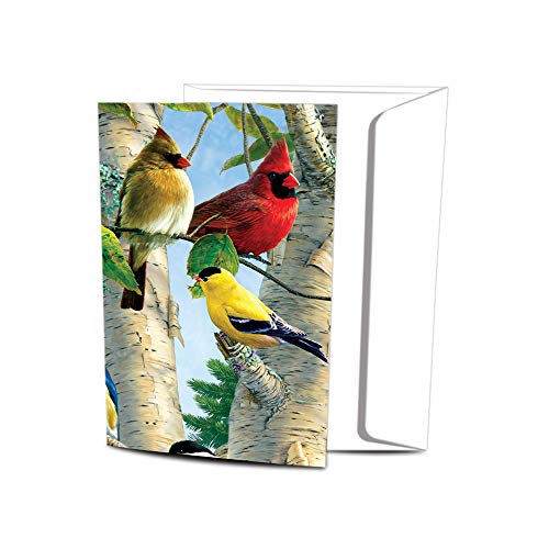 Cartes oiseaux chanteurs Tree-Free Greetings par 12 pour correspondances