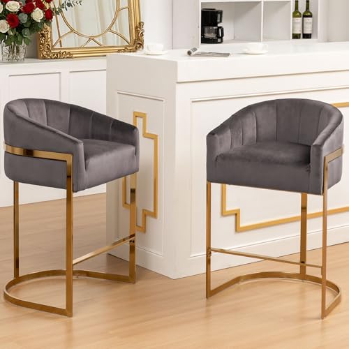 TQHOQ Bar Stools Set of 2, Velvet Upholstered Bar Chairs with Gold Metal Legs, Gray Kitchen Stools with Backs