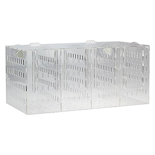 Seaside Aquatics RF400 Aquarium Acclimation/Breeding Box