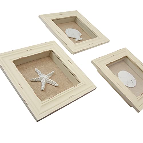 Beachy Set of 3 Shell Shabby Chic Shadow Boxes- Creamy Off White Frame 7" x 7" - Starfish, Sand Dollar and Clam Shell Mounted on Fabric Background by Tumbler Home - Image 3