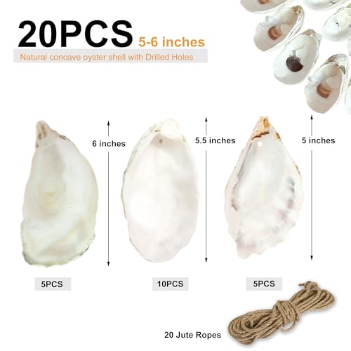 20PCS Oyster Shells for Crafts, 5"-6" Large with Drilled Holes by Acfruits - Used condition - Image 2